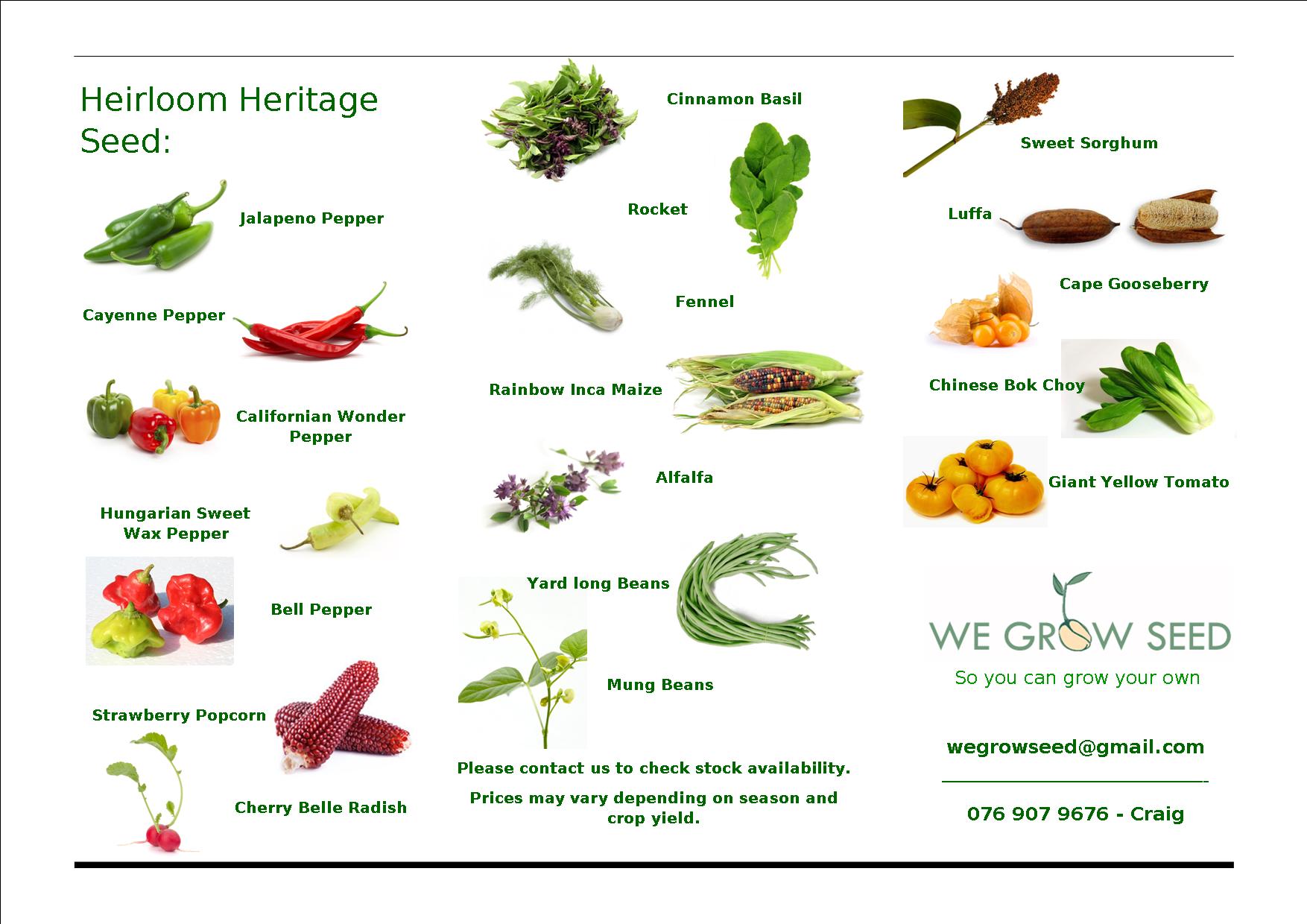 Seed catalog marketing design